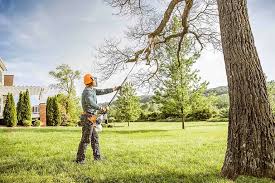 Best Commercial Tree Services  in Ozark, MO